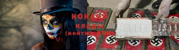 твердый Алзамай