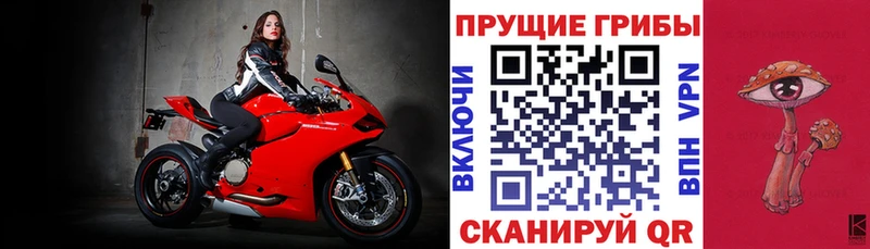 цены наркотик  Осташков  Галлюциногенные грибы мицелий 